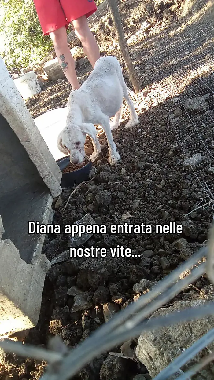 Diana il giorno in cui è arrivata, magrissima